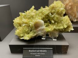 Fruehlingsfest2023 001 Custom