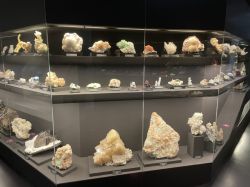 Fruehlingsfest2023 004 Custom